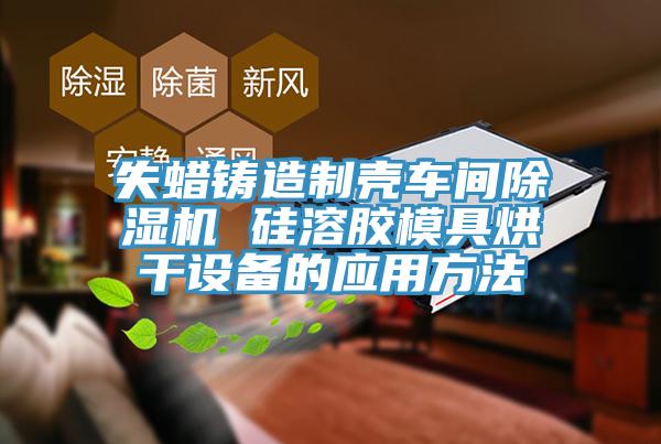 失蜡铸造制壳车间免费看操逼软件 硅溶胶模具烘干设备的应用方法