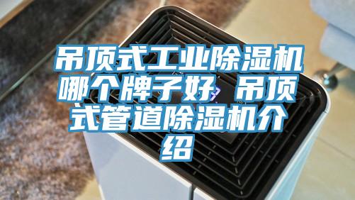 吊顶式工业免费看操逼软件哪个牌子好 吊顶式管道免费看操逼软件介绍