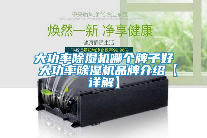 大功率免费看操逼软件哪个牌子好 大功率免费看操逼软件品牌介绍【详解】