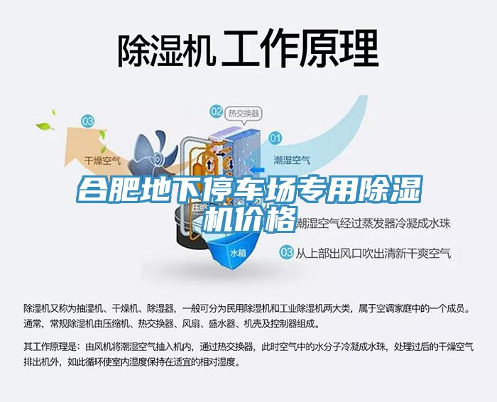 合肥地下停车场专用免费看操逼软件价格