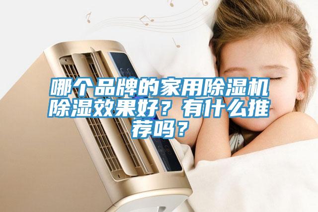 哪个品牌的家用免费看操逼软件除湿效果好？有什么推荐吗？