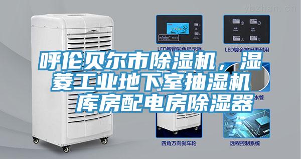 呼伦贝尔市免费看操逼软件，湿菱工业地下室抽湿机  库房配电房除湿器