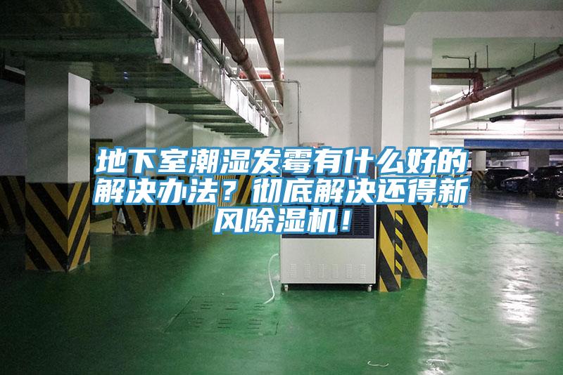 地下室潮湿发霉有什么好的解决办法？彻底解决还得新风免费看操逼软件！