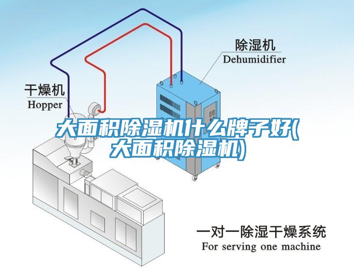 大面积免费看操逼软件什么牌子好(大面积免费看操逼软件)