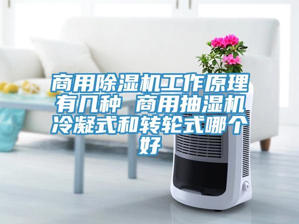商用免费看操逼软件工作原理有几种 商用抽湿机冷凝式和转轮式哪个好