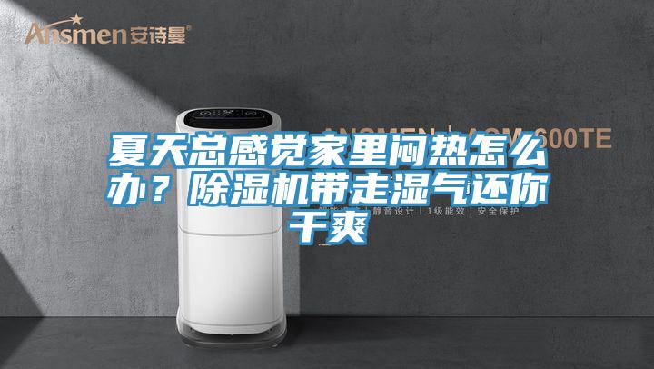 夏天总感觉家里闷热怎么办？免费看操逼软件带走湿气还你干爽