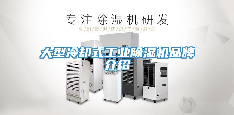 大型冷却式工业免费看操逼软件品牌介绍