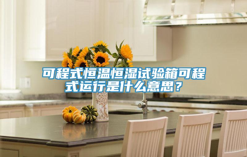 可程式恒温恒湿试验箱可程式运行是什么意思？
