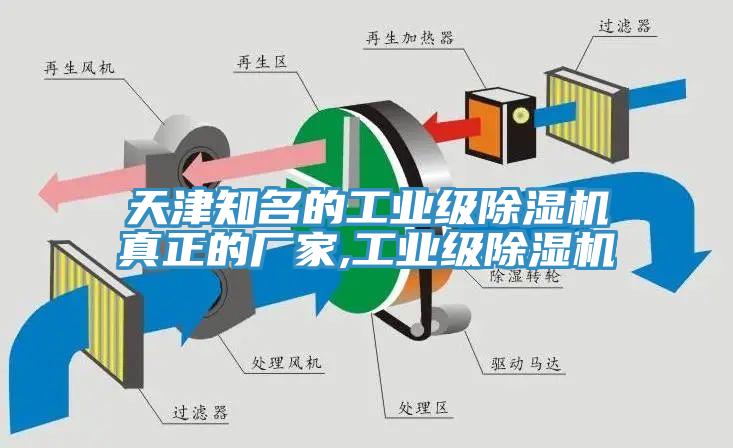 天津知名的工业级免费看操逼软件真正的厂家,工业级免费看操逼软件