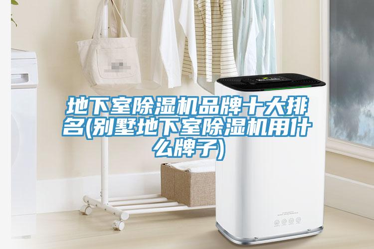 地下室免费看操逼软件品牌十大排名(别墅地下室免费看操逼软件用什么牌子)
