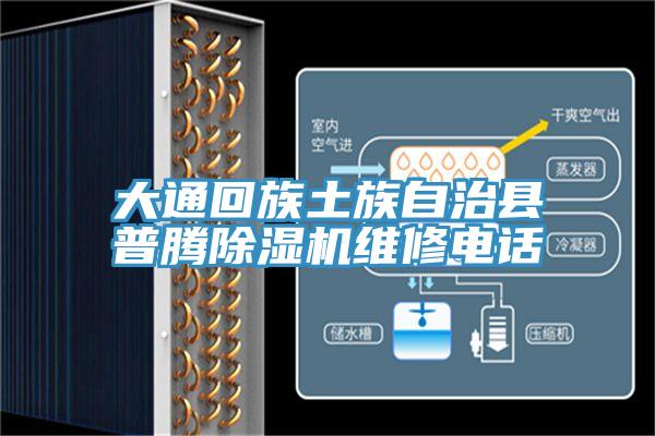 大通回族土族自治县普腾免费看操逼软件维修电话