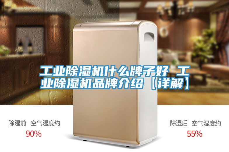 工业免费看操逼软件什么牌子好 工业免费看操逼软件品牌介绍【详解】