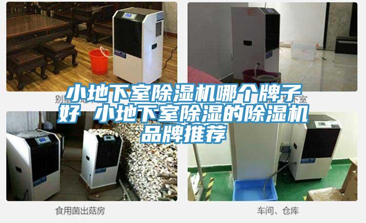 小地下室免费看操逼软件哪个牌子好 小地下室除湿的免费看操逼软件品牌推荐