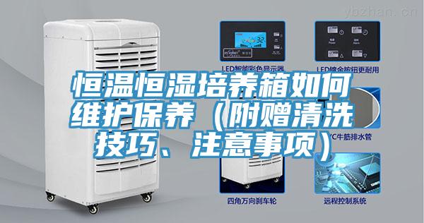 恒温恒湿培养箱如何维护保养（附赠清洗技巧、注意事项）