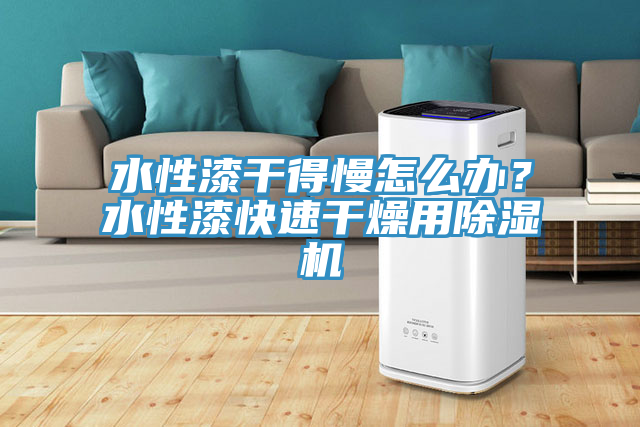 水性漆干得慢怎么办？水性漆快速干燥用免费看操逼软件