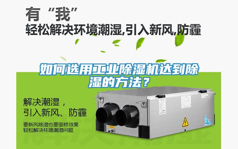 如何选用工业免费看操逼软件达到除湿的方法？