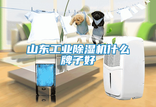 山东工业免费看操逼软件什么牌子好
