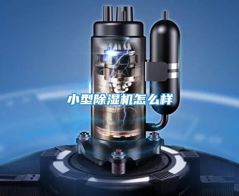 小型免费看操逼软件怎么样