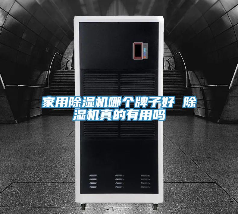 家用免费看操逼软件哪个牌子好 免费看操逼软件真的有用吗