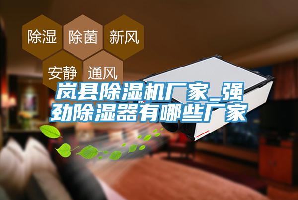 岚县免费看操逼软件厂家_强劲除湿器有哪些厂家