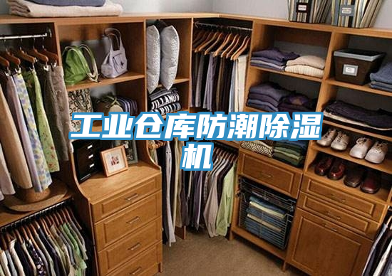 工业仓库防潮免费看操逼软件