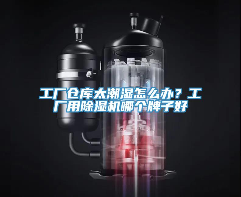 工厂仓库太潮湿怎么办？工厂用免费看操逼软件哪个牌子好