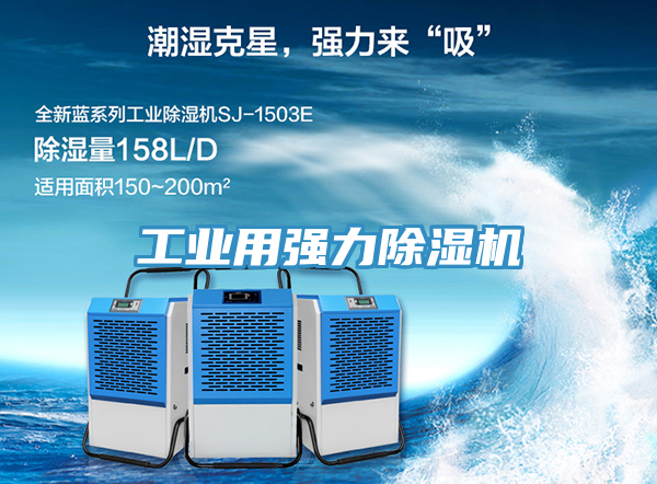 工业用强力免费看操逼软件