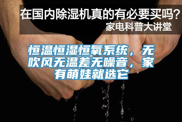 恒温恒湿恒氧系统，无吹风无温差无噪音，家有萌娃就选它