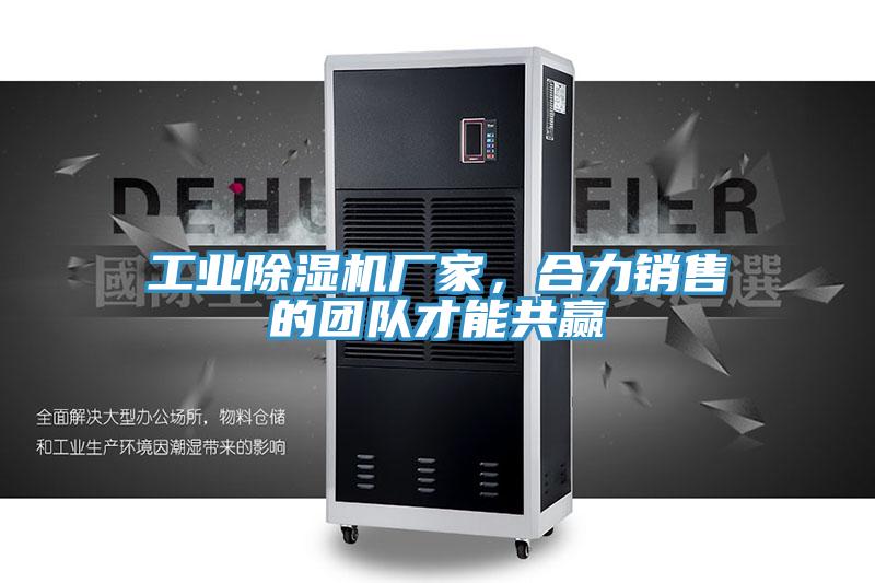 工业免费看操逼软件厂家，合力销售的团队才能共赢