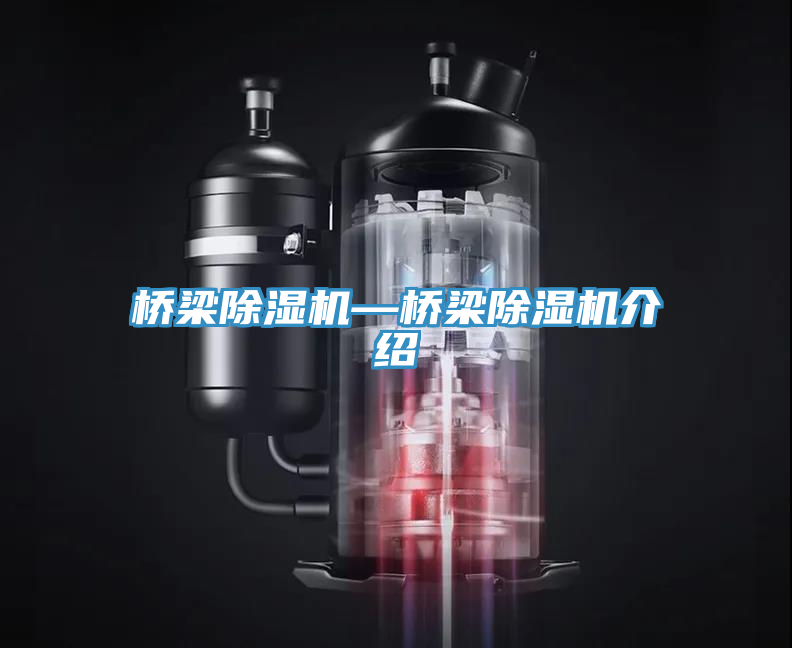 桥梁免费看操逼软件—桥梁免费看操逼软件介绍
