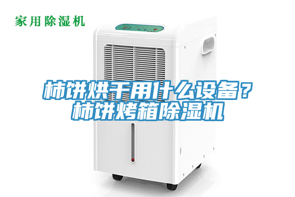 柿饼烘干用什么设备？柿饼烤箱免费看操逼软件