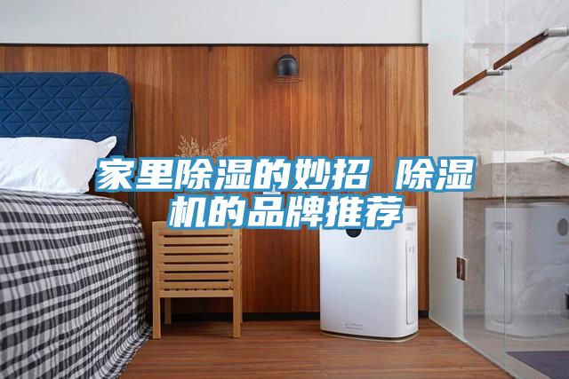 家里除湿的妙招 免费看操逼软件的品牌推荐