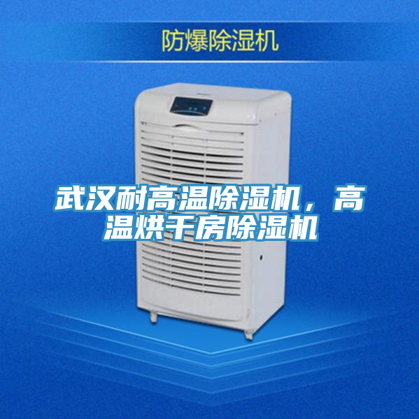 武汉耐高温免费看操逼软件，高温烘干房免费看操逼软件