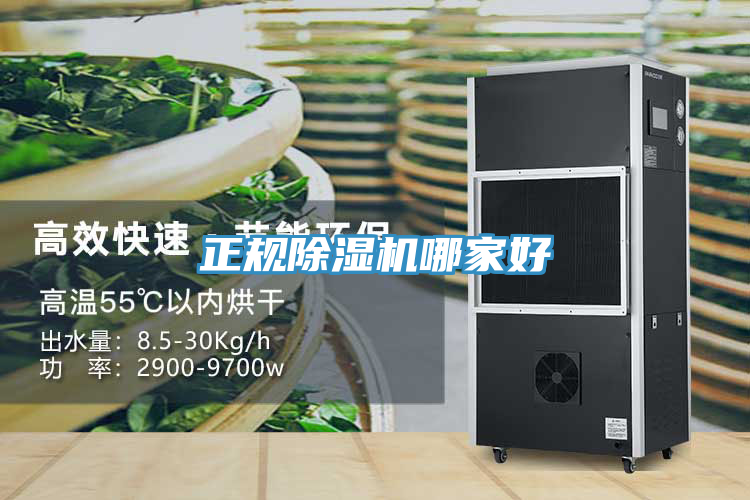正规免费看操逼软件哪家好