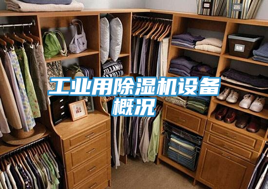 工业用免费看操逼软件设备概况