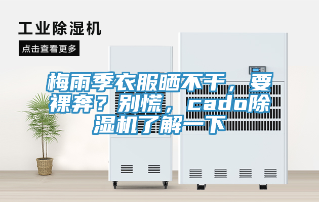 梅雨季衣服晒不干，要裸奔？别慌，cado免费看操逼软件了解一下