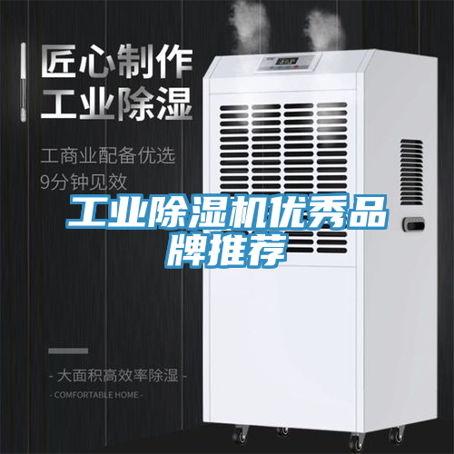 工业免费看操逼软件优秀品牌推荐