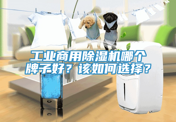 工业商用免费看操逼软件哪个牌子好？该如何选择？