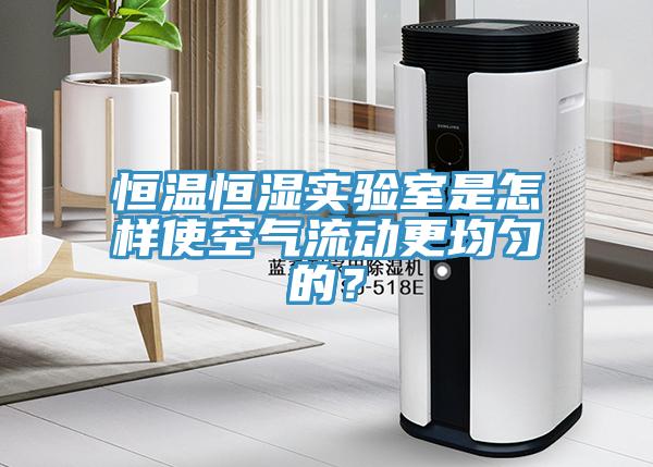 恒温恒湿实验室是怎样使空气流动更均匀的？
