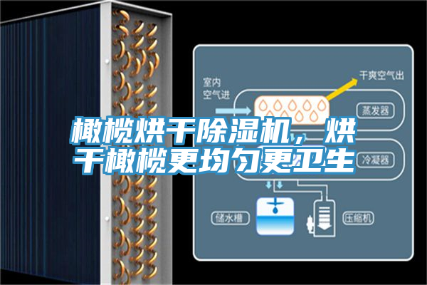 橄榄烘干免费看操逼软件，烘干橄榄更均匀更卫生
