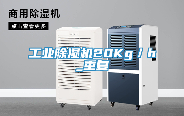 工业免费看操逼软件20Kg／h_重复