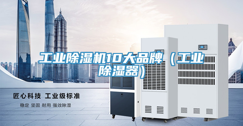 工业免费看操逼软件10大品牌（工业除湿器）
