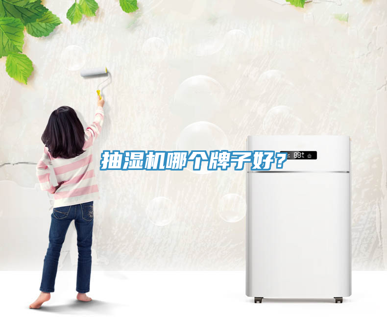 抽湿机哪个牌子好？