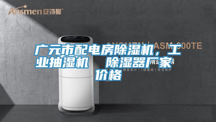 广元市配电房免费看操逼软件，工业抽湿机  除湿器厂家 价格