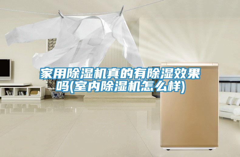 家用免费看操逼软件真的有除湿效果吗(室内免费看操逼软件怎么样)