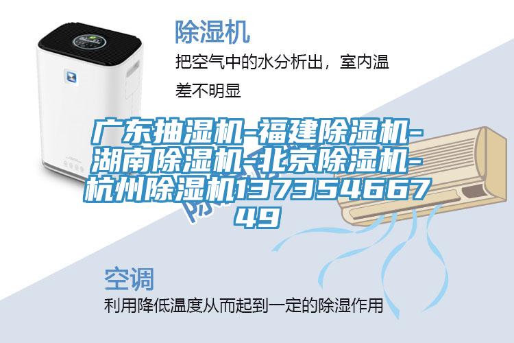 广东抽湿机-福建免费看操逼软件-湖南免费看操逼软件-北京免费看操逼软件-杭州免费看操逼软件13735466749