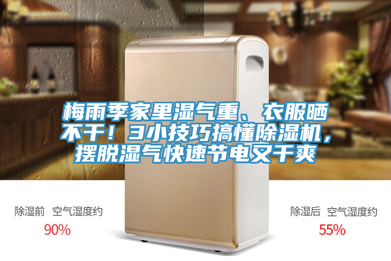梅雨季家里湿气重、衣服晒不干！3小技巧搞懂免费看操逼软件，摆脱湿气快速节电又干爽