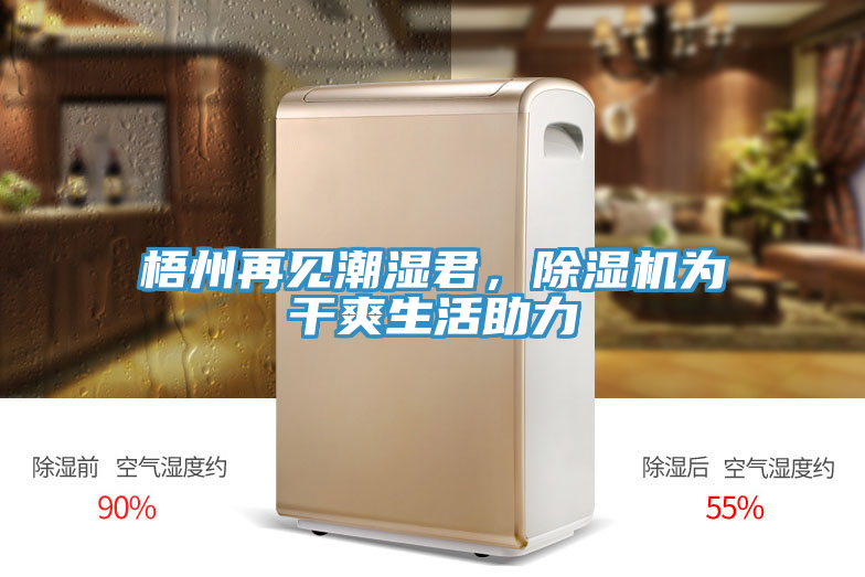 梧州再见潮湿君，免费看操逼软件为干爽生活助力
