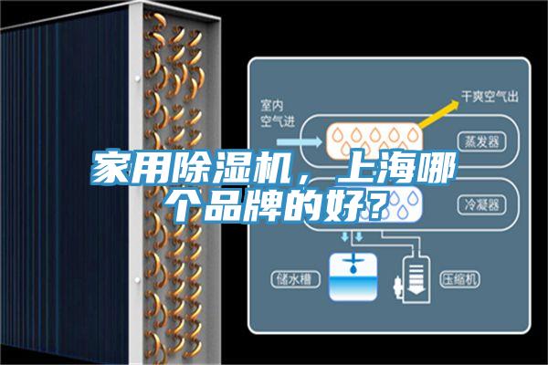 家用免费看操逼软件，上海哪个品牌的好？