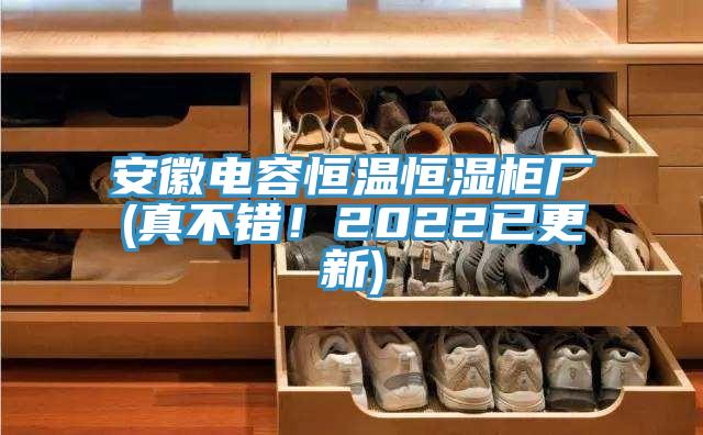 安徽电容恒温恒湿柜厂(真不错！2022已更新)